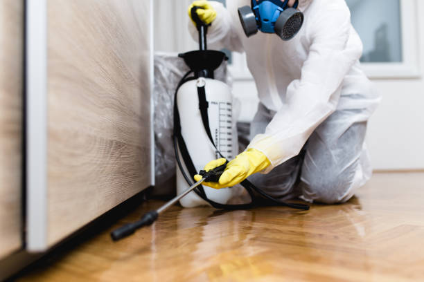 Flea Control Services in Colbert, OK