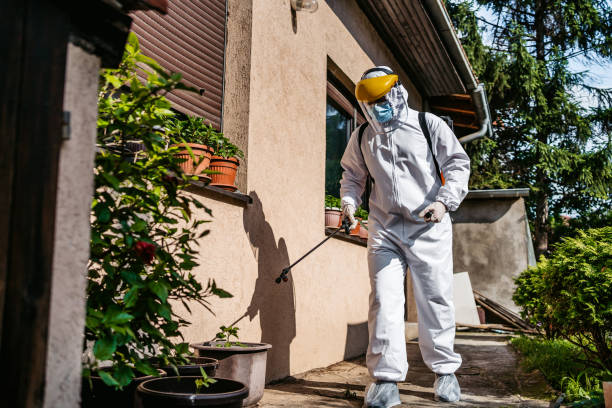 Best Pest Control Near Me  in Colbert, OK