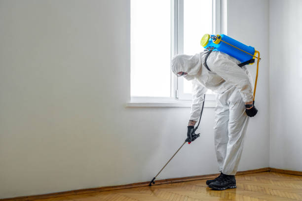 Best Emergency Pest Control  in Colbert, OK