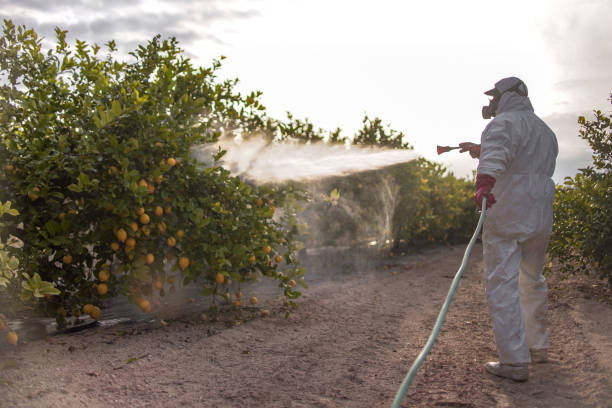 Best Wildlife Control Services  in Colbert, OK
