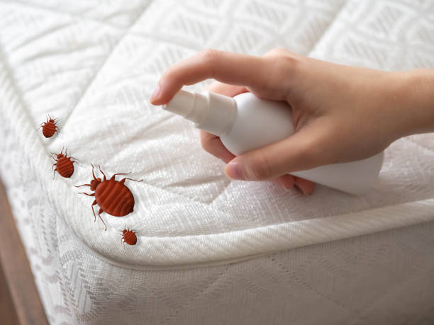 Trusted Colbert, OK Pest Control Experts