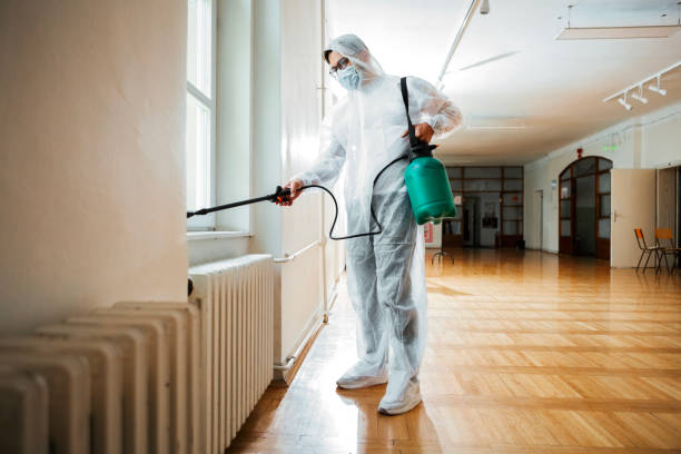 Best Local Pest Control Services  in Colbert, OK