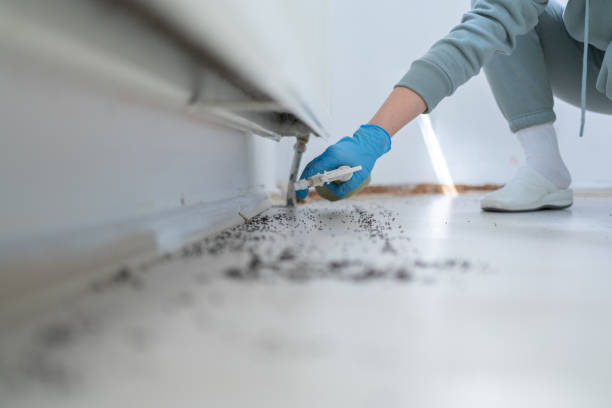 Best Pest Prevention Services  in Colbert, OK