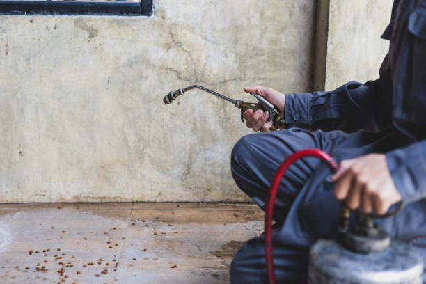 Best Pest Prevention Services  in Colbert, OK