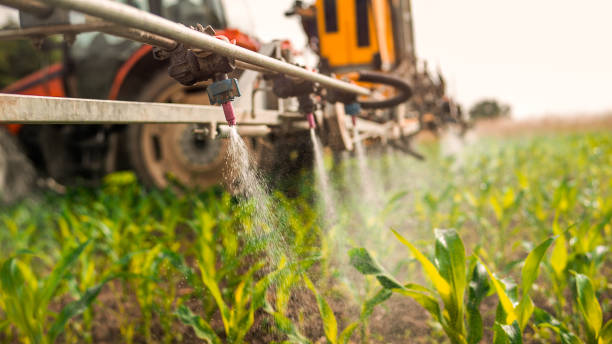 Best Local Pest Control Services  in Colbert, OK